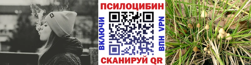 Купить  Карачаевск  Псилоцибиновые грибы прущие грибы 