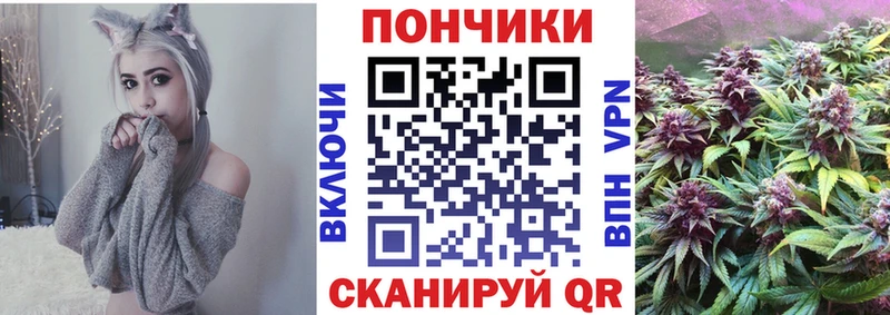 Купить закладки  Карачаевск  Бошки марихуана Bruce Banner 